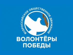 волонтёры победы2